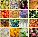 Foto tratta dal sito http://www.moebiusonline.eu 