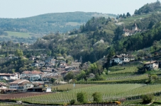    Alto Adige, Vigneti a  Montagna, una delle sedi delle Giornate Altoatesine del Pinot Nero  