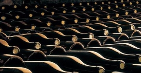 Bottiglia di Amarone in affinamento 