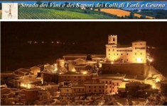 Notturno di Longiano 