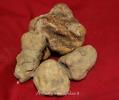 Fiera Nazionale del Tartufo Bianco d’Alba e dei prodotti dell’enogastronomia