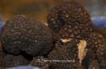 Fiera Nazionale del Tartufo Bianco d’Alba e dei prodotti dell’enogastronomia