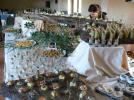 Inaugurazione Hotel Ristorante Antica Casa Diana a Sardara