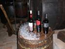 Progetto Equal  attivit di formazione ed educazione al gusto - Potenza