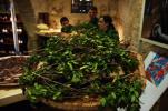Presentazione di Vasca 50 di Meloni Vini