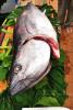 Il mare produce 2011 - Portoscuso