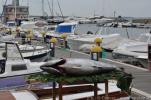 Il mare produce 2011 - Portoscuso