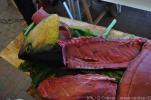 Il mare produce 2011 - Portoscuso