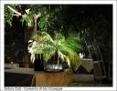 Presentazione "Donne in vigna" - Convento San Giuseppe Cagliari