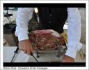 Presentazione "Donne in vigna" - Convento San Giuseppe Cagliari