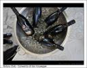 Presentazione "Donne in vigna" - Convento San Giuseppe Cagliari