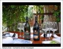 Presentazione "Donne in vigna" - Convento San Giuseppe Cagliari