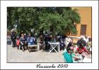 Viniscola 2010