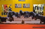 Vinitaly 2009