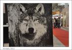 Vinitaly 2011