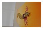 Vinitaly 2011