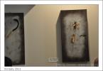 Vinitaly 2011