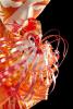 Art&Pastry 2013