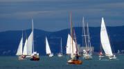 Regata Barcolana