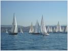 Veduta panoramica della Barcolana