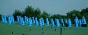 Blue Guardian, opera dell’artista Nucara