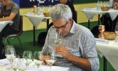 Degustazione Muller Thurgau