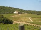 I Vigneti di Capichera