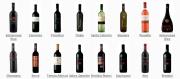 I vini della Cantina Due Palme