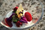 Mousse di riso alla vaniglia con lamponi e germogli