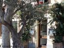  Ristorante dal corsaro - Ingresso
