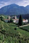 Vigneti in Valle Isarco 