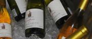 VINI TIPICI DELLE MARCHE
