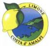 logo consorzio