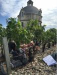 Marco Simonit a Chateau Latour  