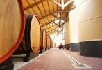Botti di Marsala nella cantina Vito Curatolo Arini 