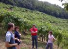 visita ai vigneti