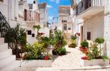 Noci (Bari)
