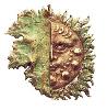 il premio Oscar del Vino 2012 