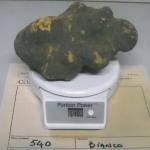 Tartufo bianco da 540 grammi 