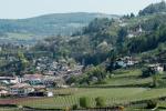    Alto Adige, Vigneti a  Montagna, una delle sedi delle Giornate Altoatesine del Pinot Nero  