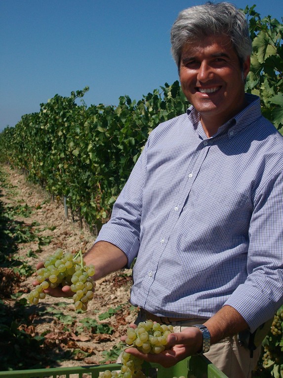 L'enologo Mariano Murru in vigna per il controllo della maturazione delle uve di Nasco